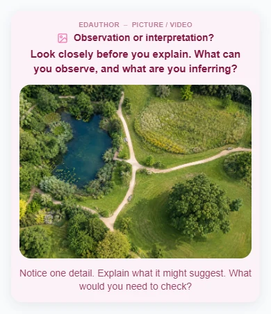 Participant view of the observation activity, with the illustrated park and a caption beneath it.